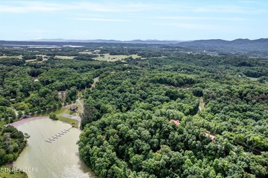 Discover the ultimate East Tennessee lifestyle on this spacious - photo 23