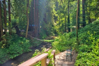 Enjoy a year-round creek from your own private mountain retreat - photo 24