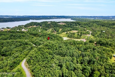 Discover the ultimate East Tennessee lifestyle on this spacious - photo 25