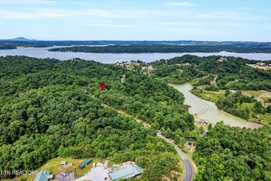 Discover the ultimate East Tennessee lifestyle on this spacious - photo 26