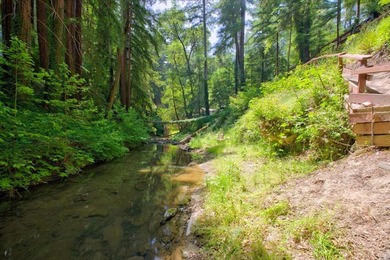 Enjoy a year-round creek from your own private mountain retreat - photo 26