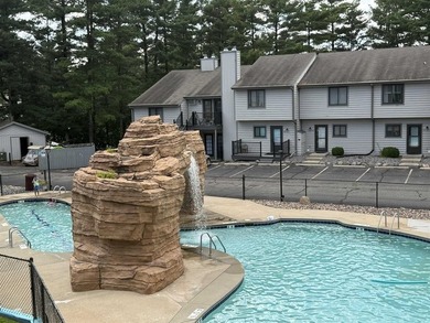 Welcome to this beautifully updated Wisconsin Dells condo - photo 29