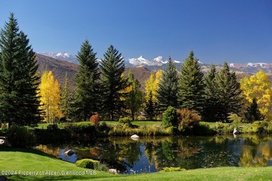 Experience the pinnacle of Woody Creek. This incredible 12,191 - photo 46