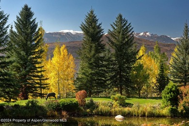 Experience the pinnacle of Woody Creek. This incredible 12,191 - photo 50