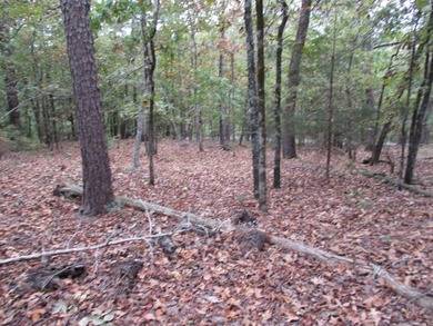 Lake Granada Lot For Sale in Hot Springs Village Arkansas