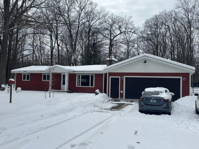 Lake Home For Sale in Lewiston, Michigan