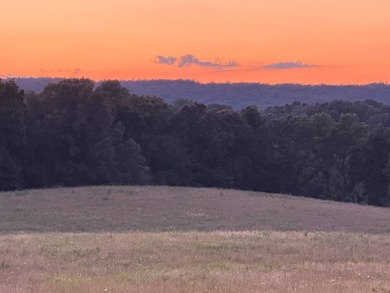 Escape to the beauty of Southern Illinois with this outstanding - photo 3
