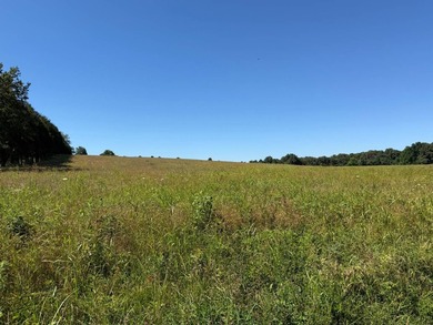 Escape to the beauty of Southern Illinois with this outstanding - photo 4