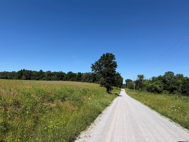 Escape to the beauty of Southern Illinois with this outstanding - photo 5