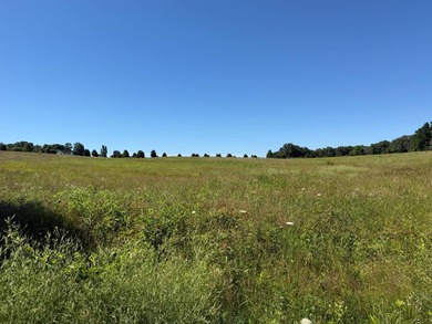 Escape to the beauty of Southern Illinois with this outstanding - photo 6