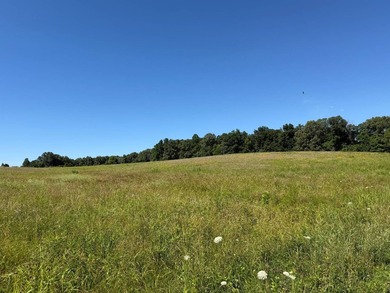 Escape to the beauty of Southern Illinois with this outstanding - photo 7