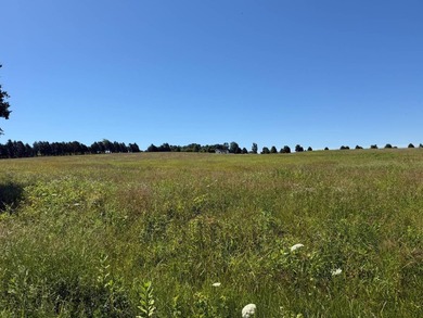 Escape to the beauty of Southern Illinois with this outstanding - photo 8