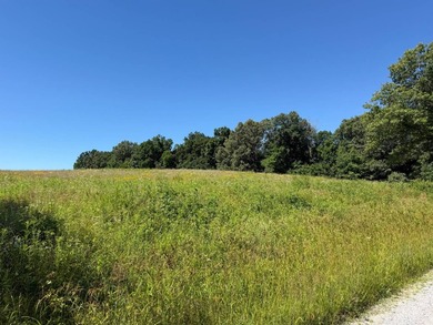 Escape to the beauty of Southern Illinois with this outstanding - photo 9