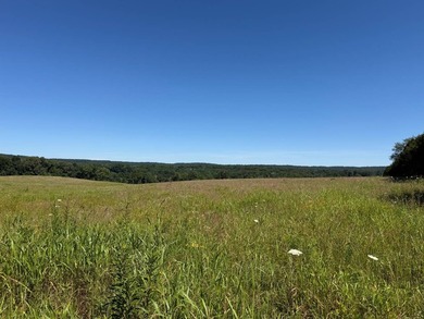 Escape to the beauty of Southern Illinois with this outstanding - photo 10