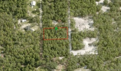 Lake Henderson Lot For Sale in Inverness Florida