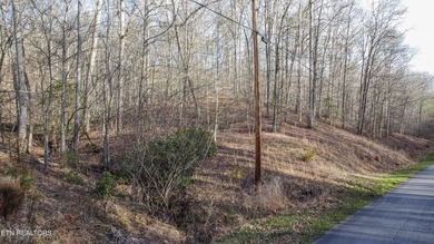 Build Your Dream Lifestyle - Rare Double Lot Opportunity! - photo 10
