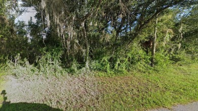 Northport Waterway Lakes and Canals Lot For Sale in North Port Florida