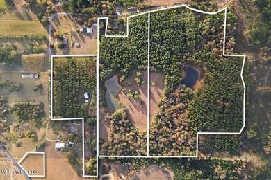 Lake Acreage For Sale in Magee, Mississippi