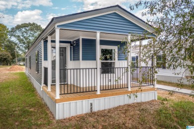 Lake Home For Sale in Lincoln, Alabama