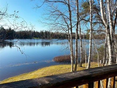 Motivated Seller! Mid Century Modern Lake Cottage! Private Golf
