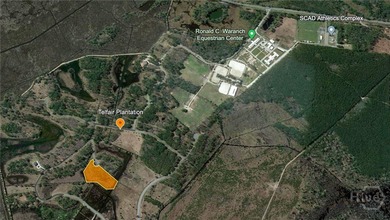 (private lake, pond, coastal) Acreage For Sale in Hardeeville Georgia