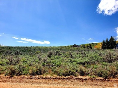 Sweet lot for a great homesite. Amazing views of lake, valley - photo 2