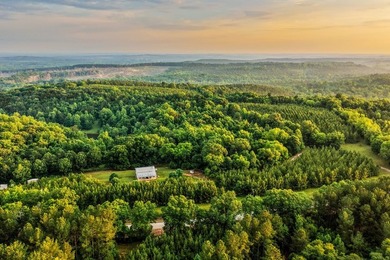 A rare opportunity to own more than 200 acres of thoughtfully - photo 11
