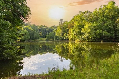 A rare opportunity to own more than 200 acres of thoughtfully - photo 12