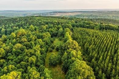 A rare opportunity to own more than 200 acres of thoughtfully - photo 14
