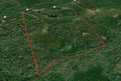 A rare opportunity to own more than 200 acres of thoughtfully - photo 19