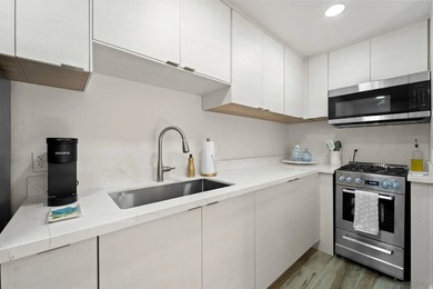 Incredibly rare mixed-use trophy property located at the corner - photo 40
