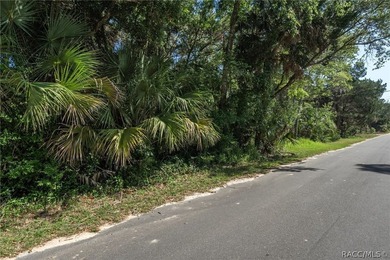 WATEFRONT/Vacant Land. Seller Motivated. Rare opportunity to own - photo 2