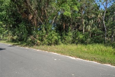 WATEFRONT/Vacant Land. Seller Motivated. Rare opportunity to own - photo 3