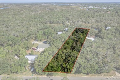WATEFRONT/Vacant Land. Seller Motivated. Rare opportunity to own - photo 8