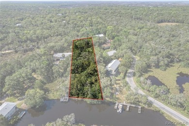 WATEFRONT/Vacant Land. Seller Motivated. Rare opportunity to own - photo 9