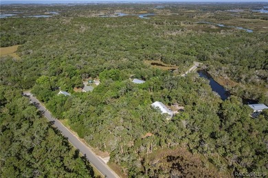WATEFRONT/Vacant Land. Seller Motivated. Rare opportunity to own - photo 10