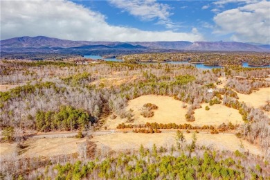 Lake James Acreage For Sale in Nebo North Carolina