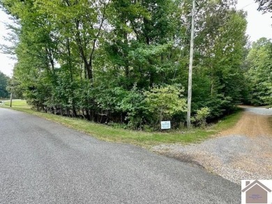 Lake Lot For Sale in Benton, Kentucky