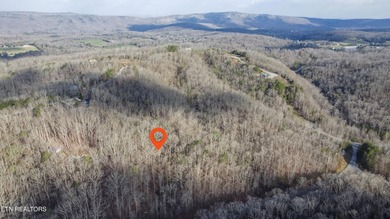 Build Your Dream Lifestyle - Rare Double Lot Opportunity! - photo 10