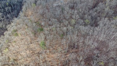 Watts Bar Lake Acreage For Sale in Rockwood Tennessee