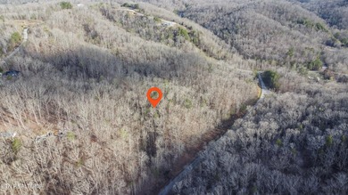 Build Your Dream Lifestyle - Rare Double Lot Opportunity! - photo 10