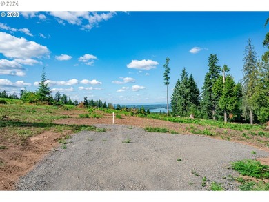 Introducing Delta Vista Community! An upscale community with - photo 2