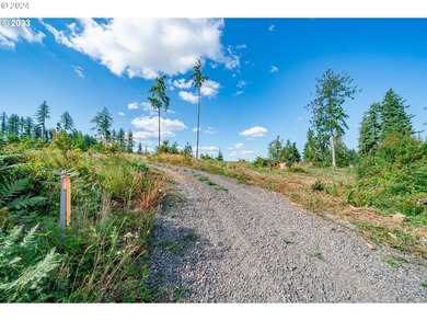 Introducing Delta Vista Community! An upscale community with - photo 4