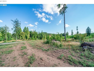 Introducing Delta Vista Community! An upscale community with - photo 6