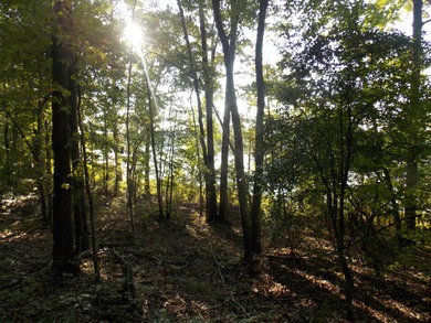 Strom Thurmond / Clarks Hill Lake Lot For Sale in Lincolnton Georgia