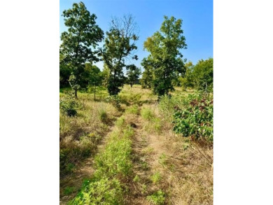 (private lake, pond, creek) Lot For Sale in Porum Oklahoma