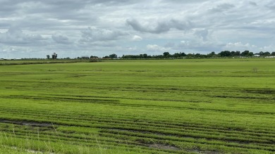 Lake Okeechobee Commercial For Sale in Belle Glade Florida