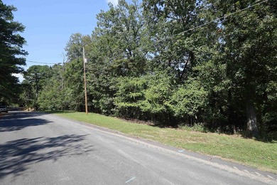 Over 4 acres on Meadowlake Drive. A single family home can be - photo 4