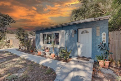 Lake Maggiore  Home For Sale in St. Petersburg Florida