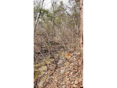 Discover these small acreage lots in Bull Shoals! Zoned R1 and - photo 3